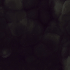 vtwonen Onyx 