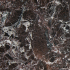 Carrelage en céramique sol et mur | 60x60 cm | vtwonen Classic Deep Burgundy Levigato