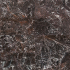 Carrelage en céramique sol et mur | 30x60 cm | vtwonen Classic Deep Burgundy Levigato