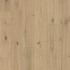 Carrelage imitation parquet | 18.5x150 cm | Tilestone Iconic Oak Sand Rustic