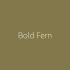 Impermo Paint - Bold Fern 