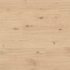Carrelage imitation parquet | 18.5x150 cm | Tilestone Iconic Oak Light Rustic