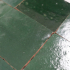 Zellige Marocain | 10x10 cm | Zelliges