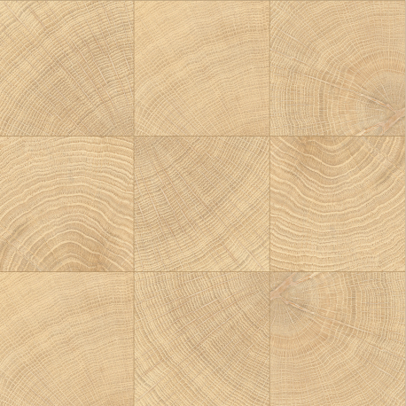 Carrelage imitation parquet | 10x10 cm | vtwonen Woodcirkle Oak