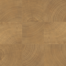 vtwonen Woodcirkle