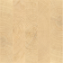 Carrelage imitation parquet | 5.3x30 cm | vtwonen Woodcirkle Oak