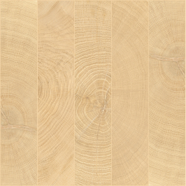 vtwonen Woodcirkle