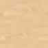 Carrelage imitation parquet | 10x120 cm | vtwonen Woodcirkle Oak