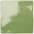 15x15 cm | Colors Olive Glossy
