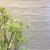 7.6x30.2 cm | Neutra Crisp Linen Glossy