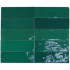 Carreaux muraux en céramique | 5.2x16 cm | DNA Safi Emerald